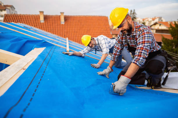 Professional Roofing Contractor in Colby, WI